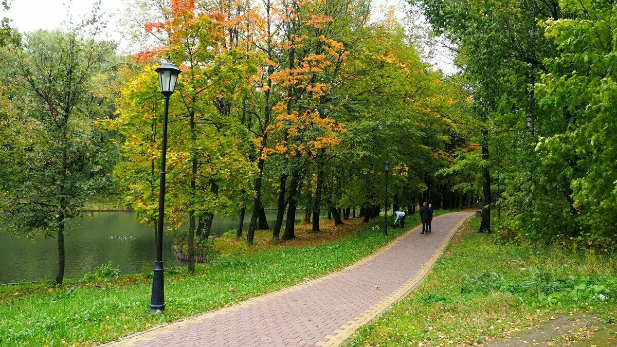 парк соловьиная роща. парк березовая роща смоленск. парк соловьиная роща смоленск. смоленск парк соловьиная роща парк соловьиная роща. парк соловьиная роща.