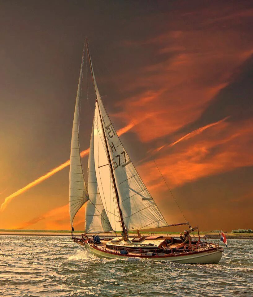 Sail forth epic