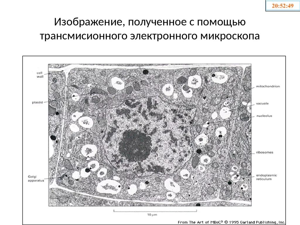 Изображения полученные с помощью