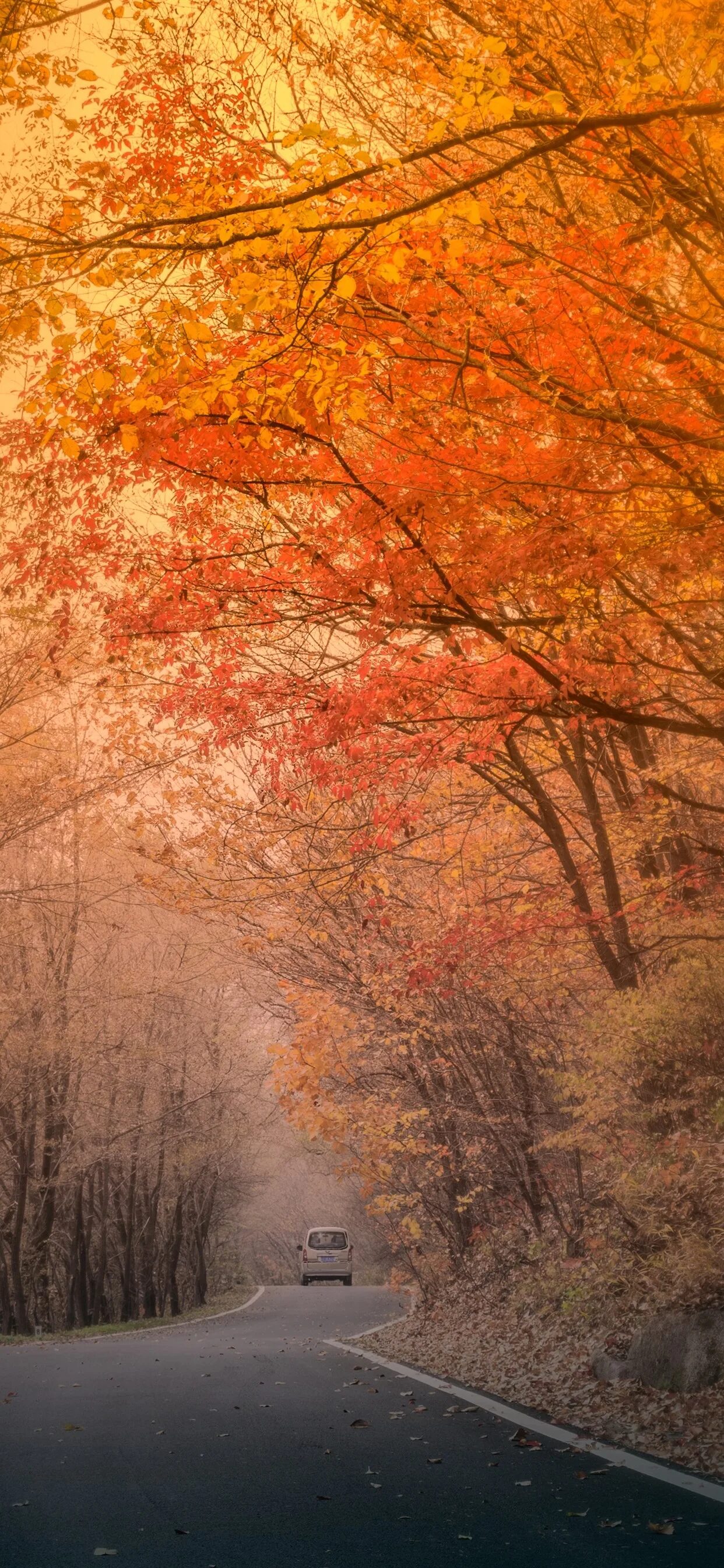 92 Autumn aesthetic ideas autumn aesthetic, autumn inspiration, autumn cozy