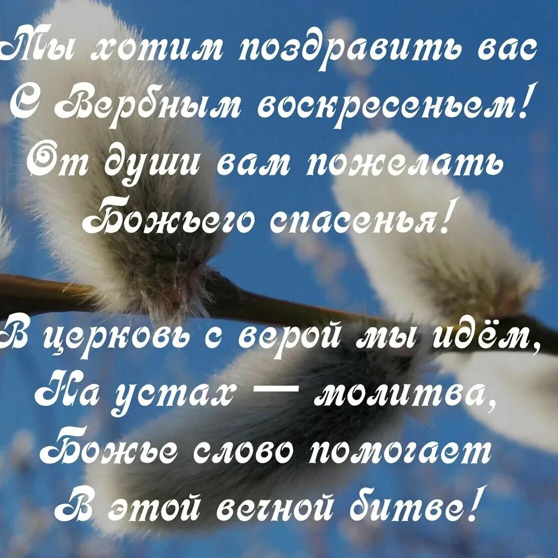 С Вербным воскресеньем открытки. Вербное воскресенье пожелания. Вербное воскресенье стихи. Верьное воскресень естихи. Четверостишье воскресенье