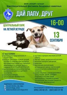 Фестиваль бездомных животных