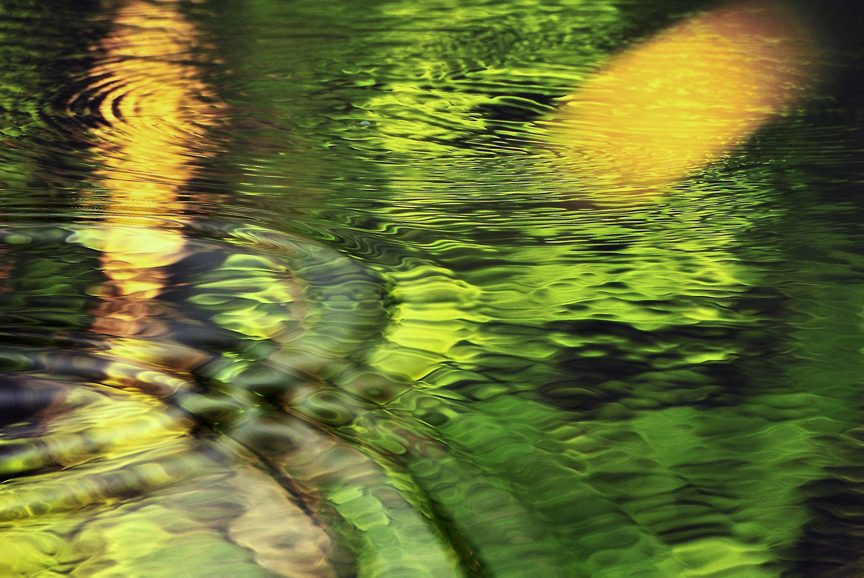 Отражение вода песни. Отражение в воде. Круги на воде. Блики на воде. Пейзаж с отражением в воде.