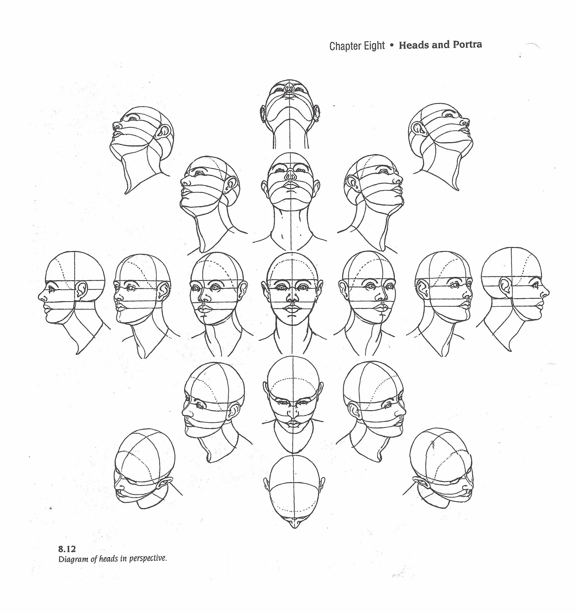 Рисование головы в разных ракурсах. Голова человека в разных ракурсах. Ракурсы головы для рисования. Рисование лица в разных ракурсах. Ракурсы головы референс