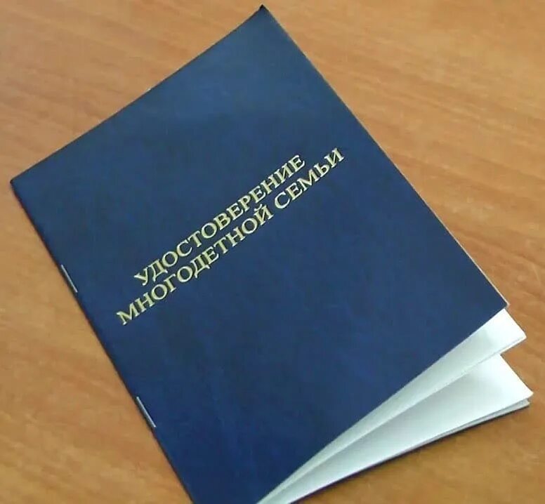 Многодетные документ