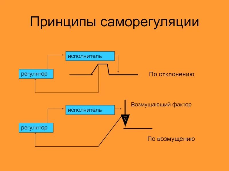 Саморегуляции физиологических процессов. Принципы саморегуляции. Принципы саморегуляции физиология. Принцип саморегуляции организма. Принципы механизма саморегуляции.