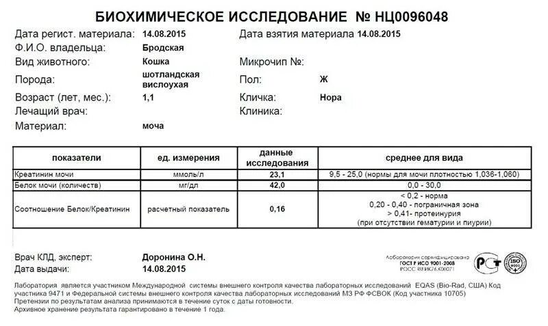 Метанефрин и норметанефрин в моче норма. Норма метанефрина в моче. Анализ на суточный белок в моче норма. Суточный анализ мочи на белок результат.