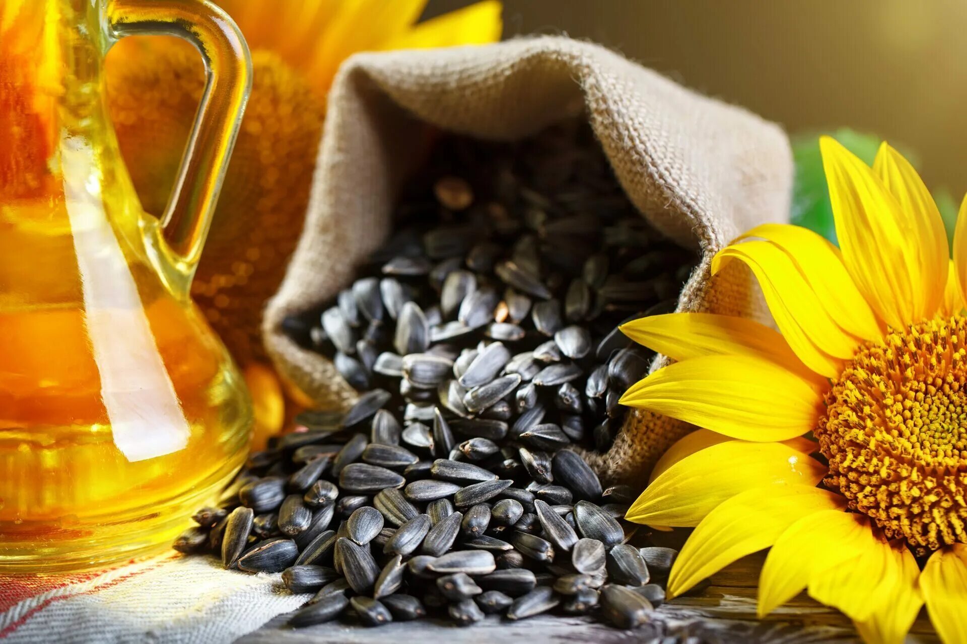 сорта семян подсолнечника. гибрид подсолнечника коломби. семечки. ядро семян подсолнечника ,25кг. семечки sunflower seeds.