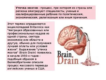 Проблемы утечки мозгов