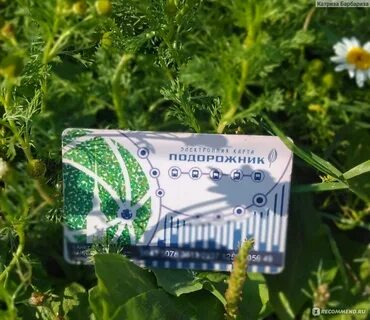 Подорожник москва