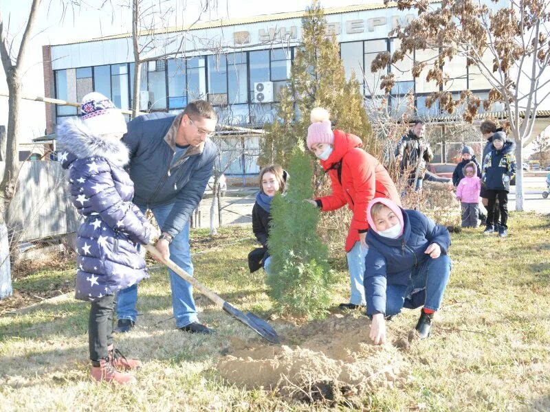 В ряд высадили 12 деревьев. Аллея добрых историй Камызяк. Аллея добрых дел Орел. Аллея добрых дел. Маяк дельты Наурыз в Камызяке.