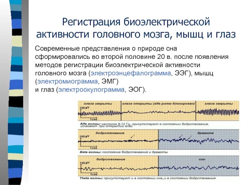 Легкие изменения бэа головного мозга. Типы биоэлектрической активности мозга. Метод регистрации суммарный биоэлектрической активности. Метод регистрации биоэлектрической активности головного мозга. Айпи активность головного мозга.