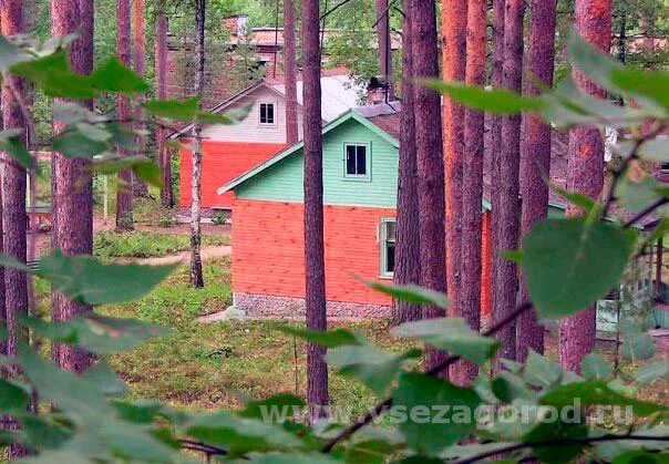 База незабудка. Турбаза Незабудка на Истре. Незабудка база отдыха Екатеринбург. Турбаза Незабудка горный Алтай.