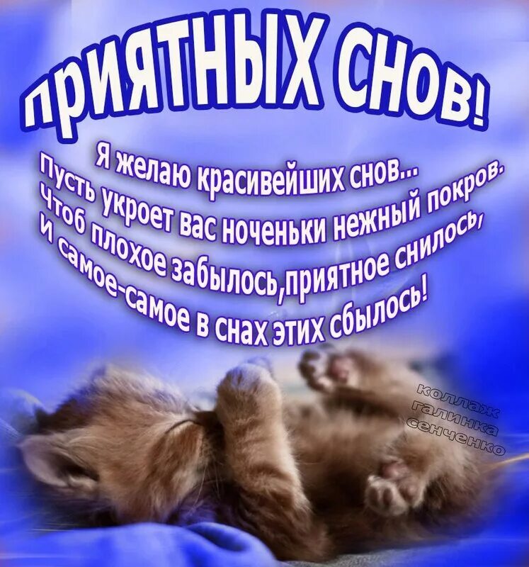 Покойной ночи пожелания. Сладкой ночи. Спи желаю. Пожелания спокойнойтночи. Открытки спокойной ночи.