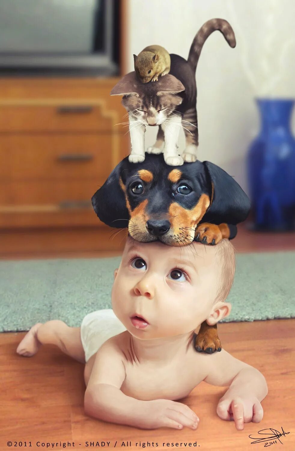 Детка животных