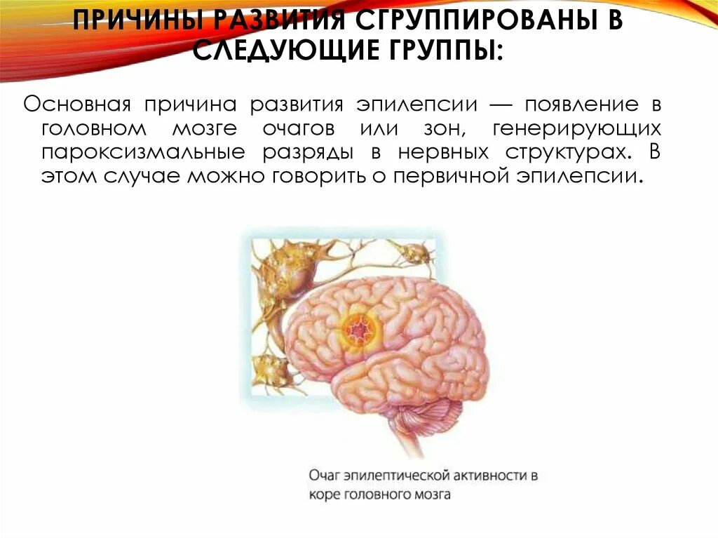 Причины развития мозга. Очаг эпилептической активности в коре головного мозга. Причины развития эпилепсии. Очаги эпилепсии в головном мозге. Эпилептический очаг в мозге.