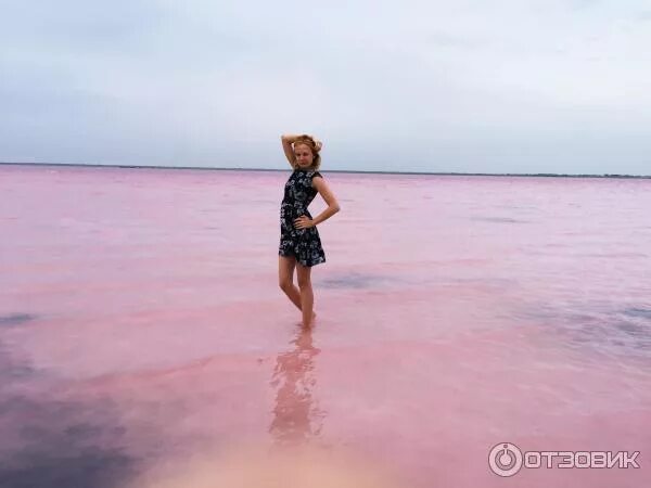 Розовое озеро яровое. Озеро Бурсоль Яровое. Бурсоль озеро Алтайский край. Розовое озеро Алтай Бурсоль. Розовое озеро Алтайский край Яровое.