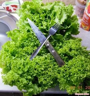 Салат дача