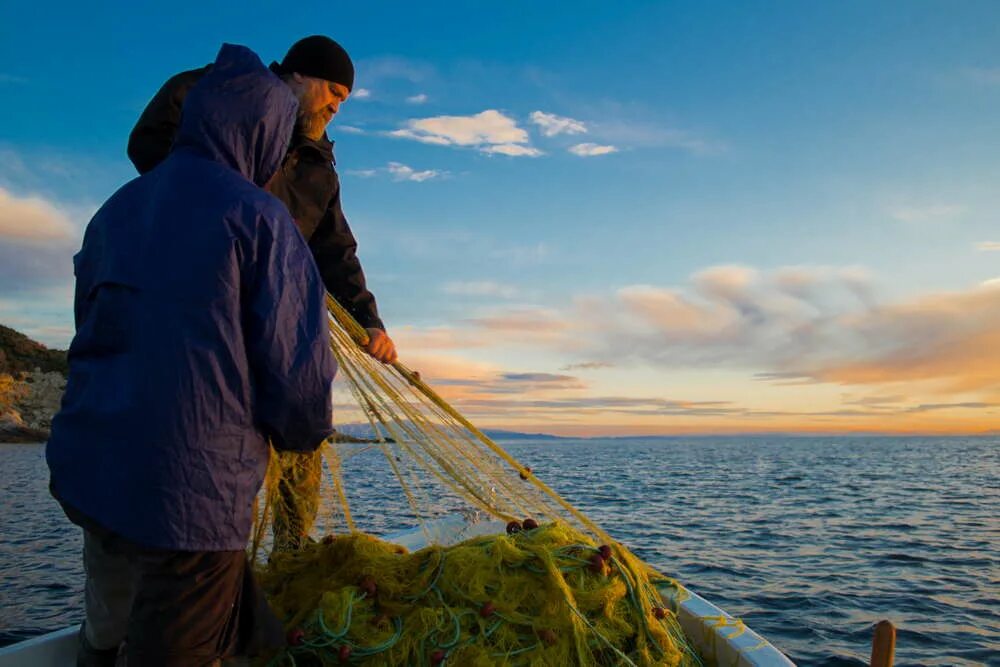 горный алтай рыбалка. рыба горьковского водохранилища. корюшка улов. рыбак на горной речке. рыбалка на горной реке.