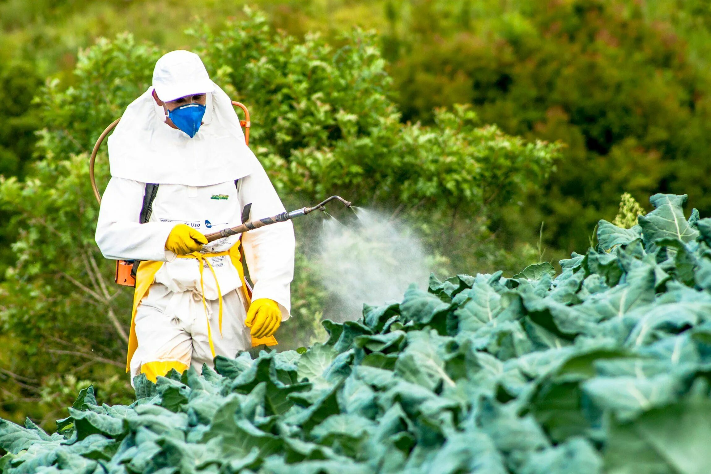 D пестицид. Пестициды. Пестициды и гербициды. Загрязнение почвы пестицидами. Пестициды ядохимикаты.