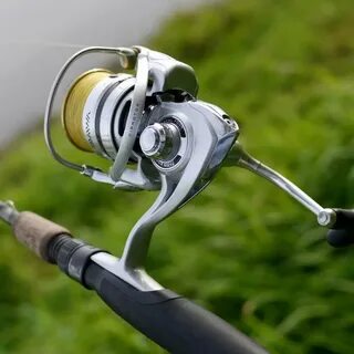 Daiwa caldia