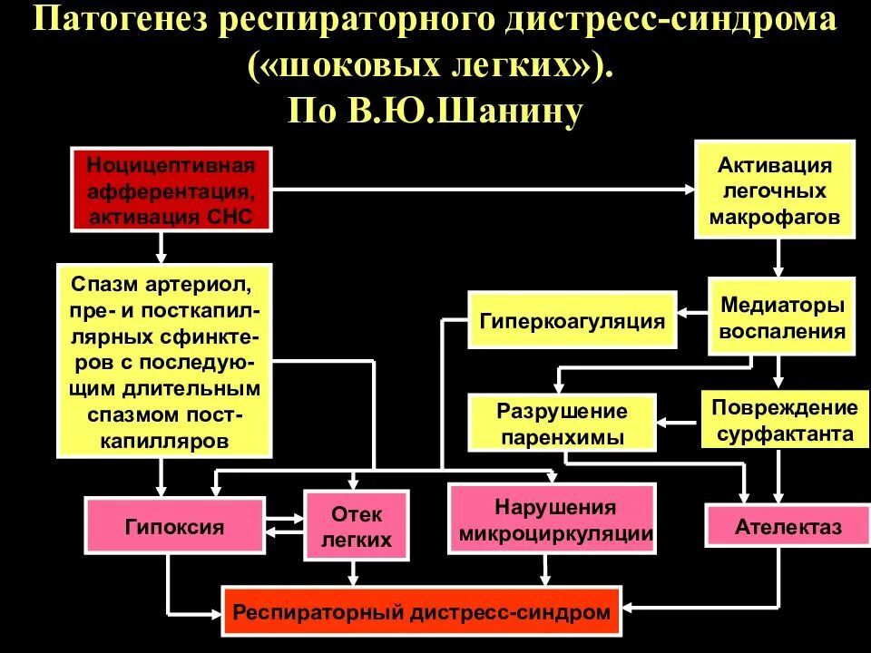 Респираторный дистресс взрослых. Механизм развития острого респираторного дистресс синдрома. ОРДС( острый респираторный дистресс синдром патогенез. ОРДС синдром патогенез. РДС синдром патогенез.