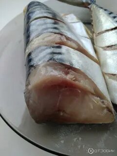 Скумбрия окрас
