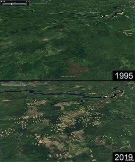 Тай га