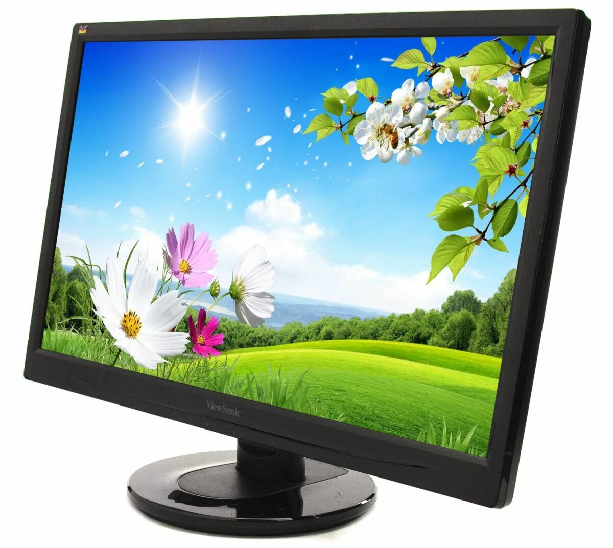 Монитор led 24. Viewsonic va2246. viewsonic va2246-led. монитор viewsonic 2246-led. монитор 21.5&quot; viewsonic va 2246 led.