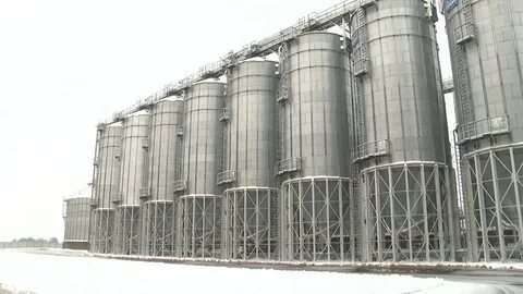Ростовский завод комбикормов
