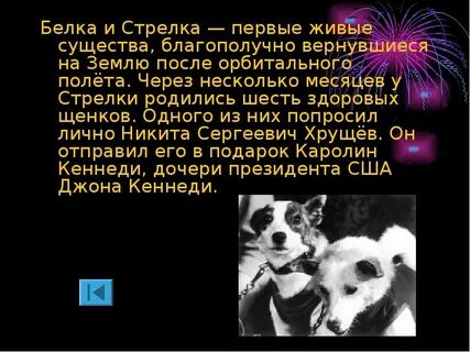 Какое животное совершил первый орбитальный космический полет