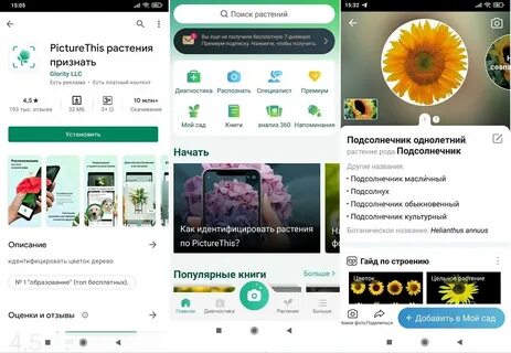 Программа как распознать растение