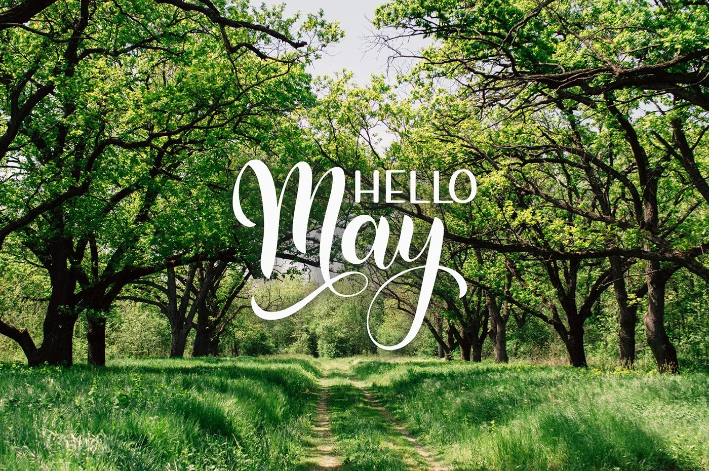 Хеллоу стоит. Хелло май. Май надпись. Обои на рабочий стол hello May. Май картинки с надписью.