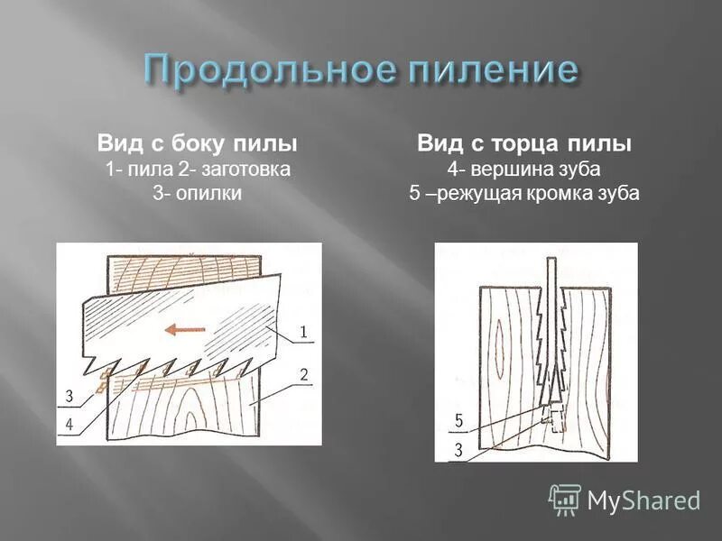 Пила для продольного пиления форма зуба. Ножовки для продольного и поперечного пиления. Форма зуба пилы для поперечного пиления. Зубья ножовки для продольного пиления. Типа попита