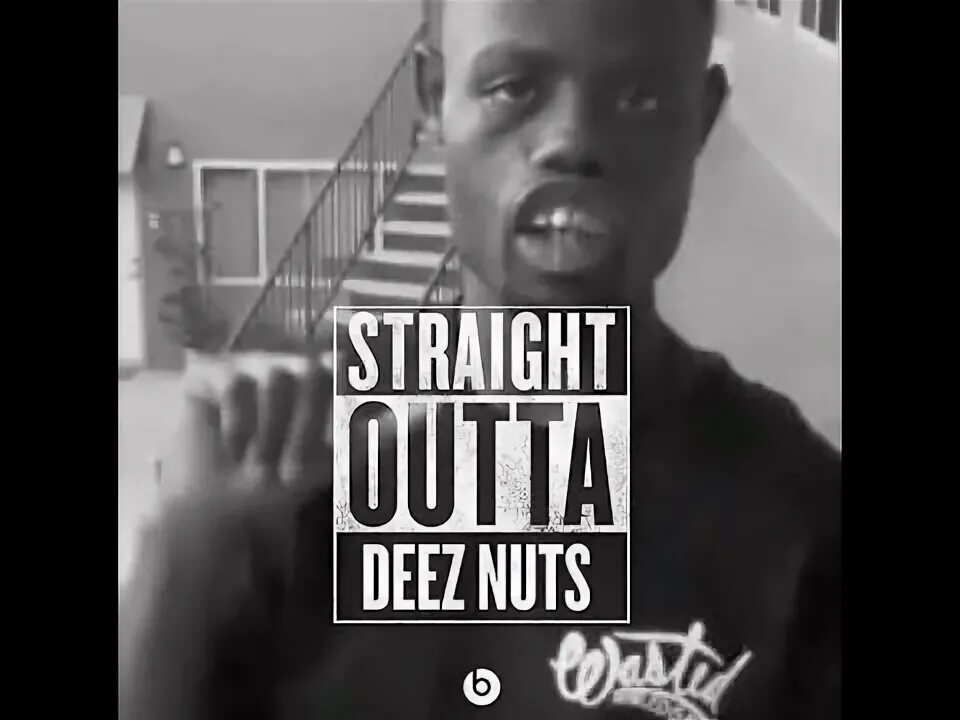 Deez nuts. Deez nuts перевод.