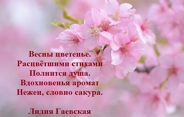 Цветущий май текст. Стихи о цветущих садах. Стихи о цветущем саде. Стихотворение о цветущей весне. Высказывания о весне.