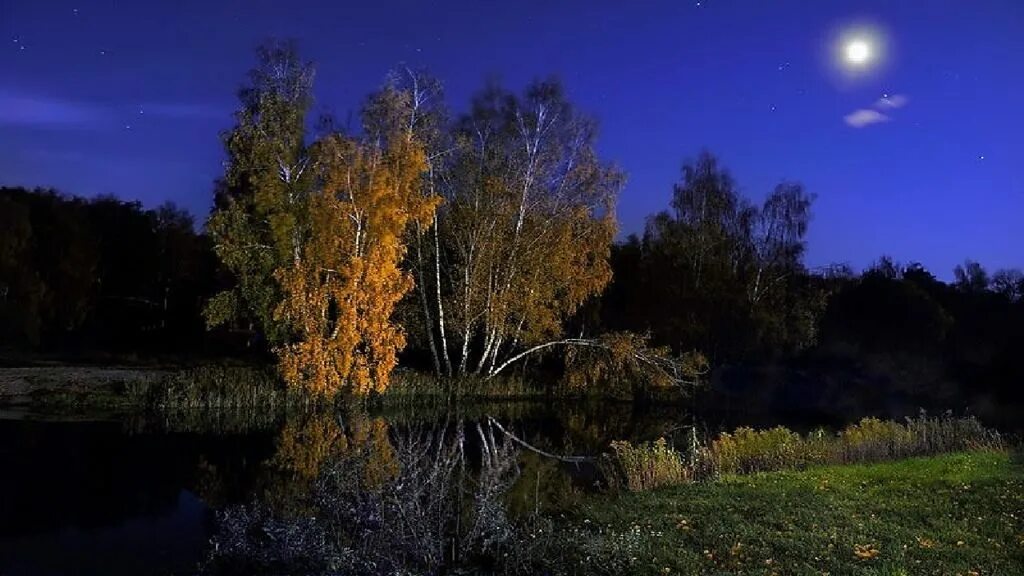 Осенняя ночь. Ночной пейзаж. Березы ночью. Вечер на реке.