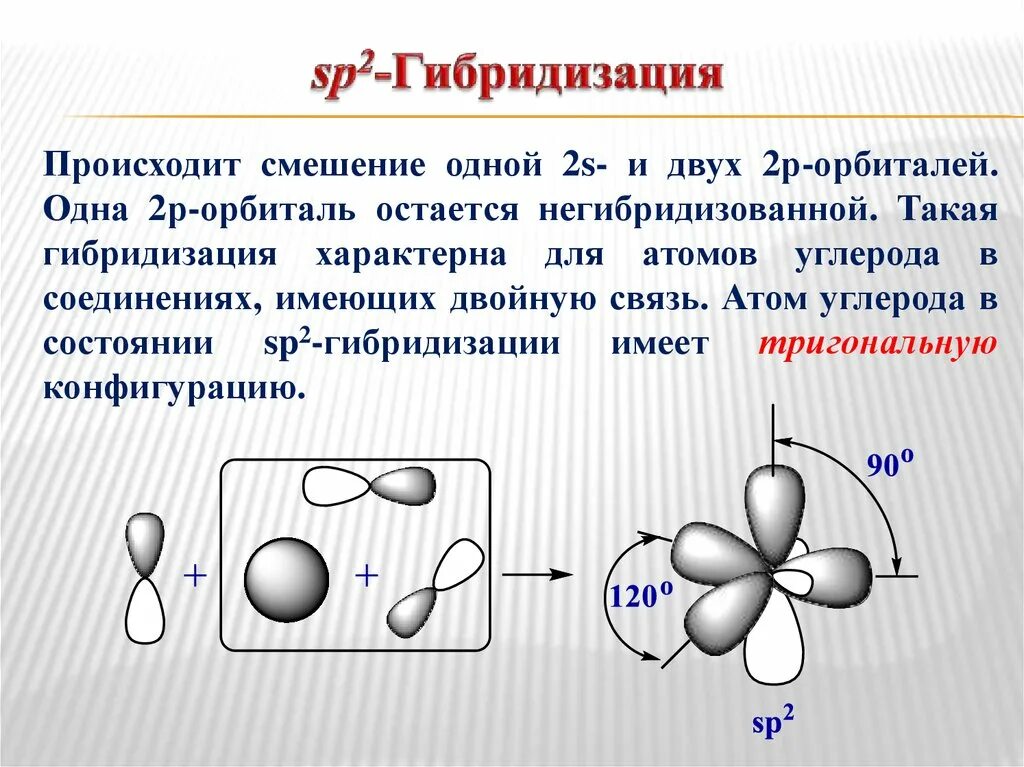 Атомы углерода всегда. Сп2 гибридизация орбиталей атомов углерода. Гибридные sp3 орбитали образуются. Sp2-гибридные атомы углерода. Схема образования sp2 гибридных орбиталей.