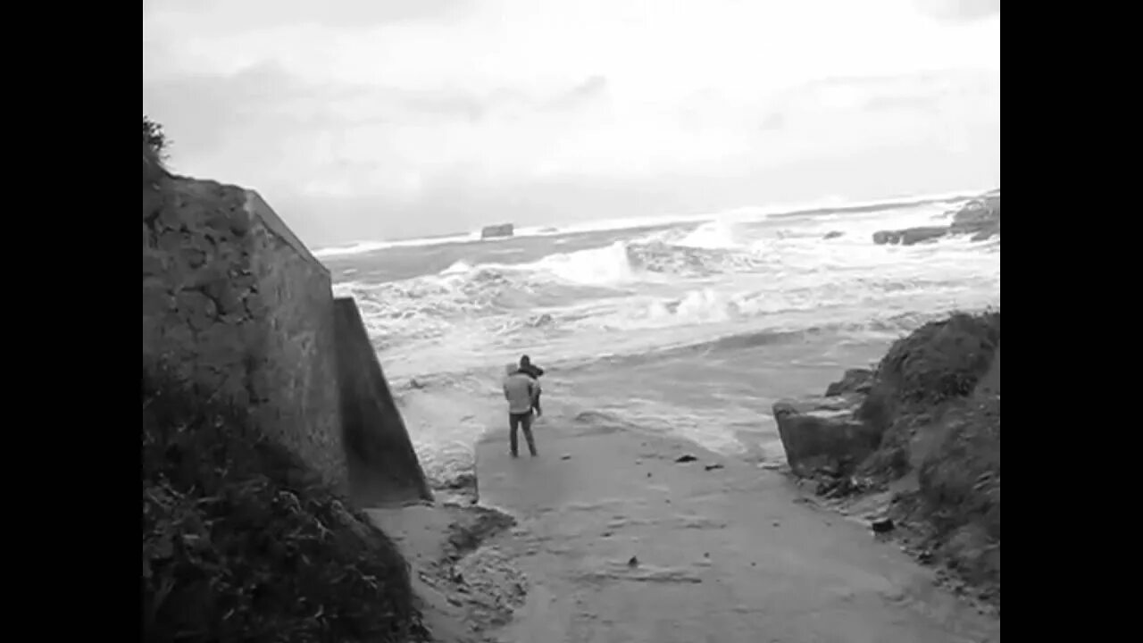 Смыло волной. Кот около пирса в зеленоградске. Видео девушку унесло волной. Волна уносит человека в море картинка. Унесенные волной.