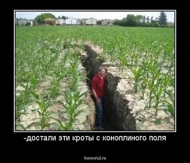 То не достает то это