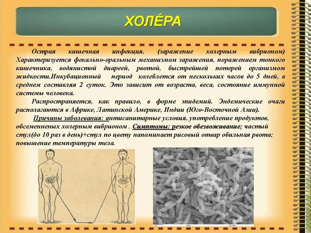 Холера симптомы причины болезни и как передается