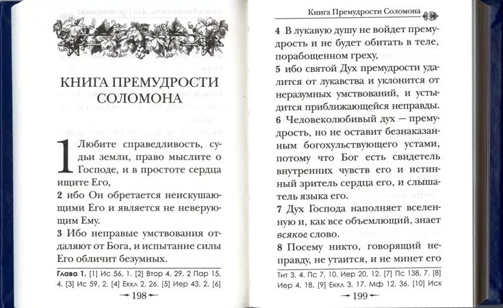 набор сол. книга притч царя соломона. солома для рукоделия. прем солом. прутья веника.