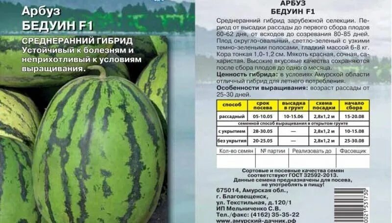 Арбуз сорт бедуин отзывы. Арбуз бедуин f1 описание. сорт арбуза бедуин. арбуз васко f1. арбуз бедуин семена.