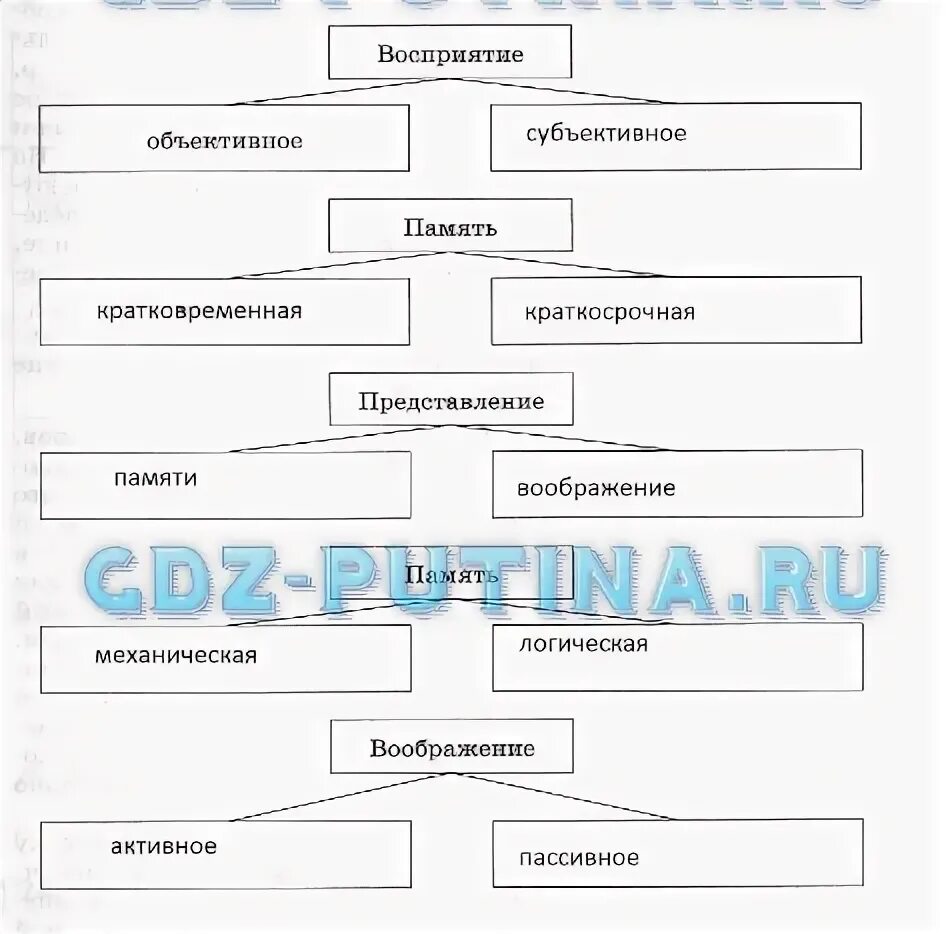 Восприятие схема. Схема памяти и представления. Заполните схемы восприятие объективное. Схема понимания другого человека.