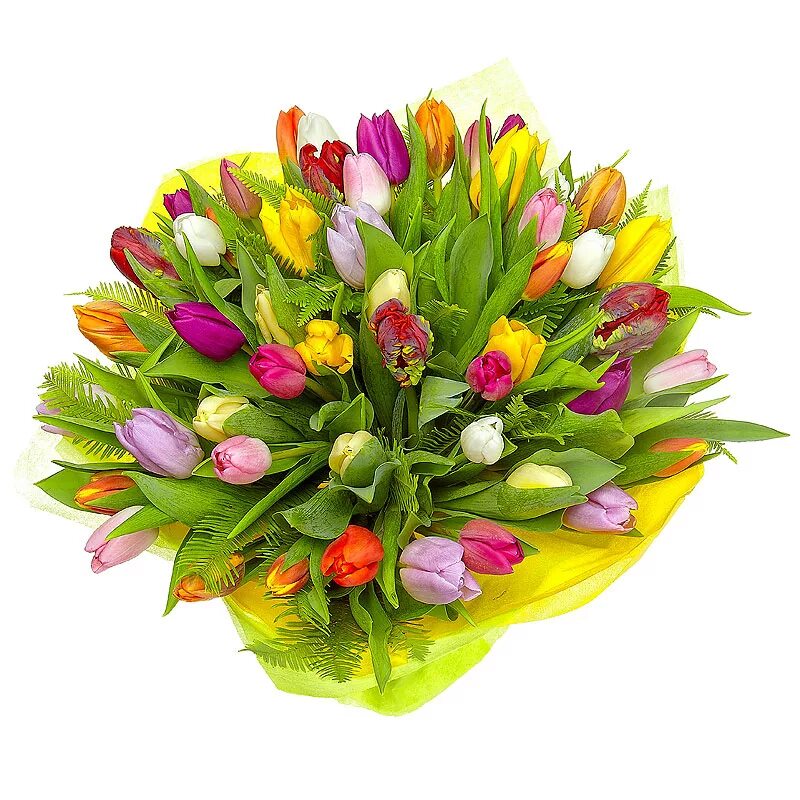Букет тюльпанов микс 15шт. Букет 101 тюльпан. Ведро тюльпанов жарден. Разноцветные тюльпаны в шляпной коробке. Букет 51 тюльпан микс.