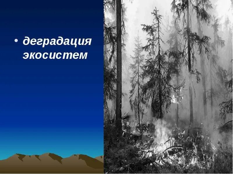 Экологическая деградация это. Деградация природы. Степень нарушенности экосистем. Экологическая деградация это. Деградация земельных ресурсов.