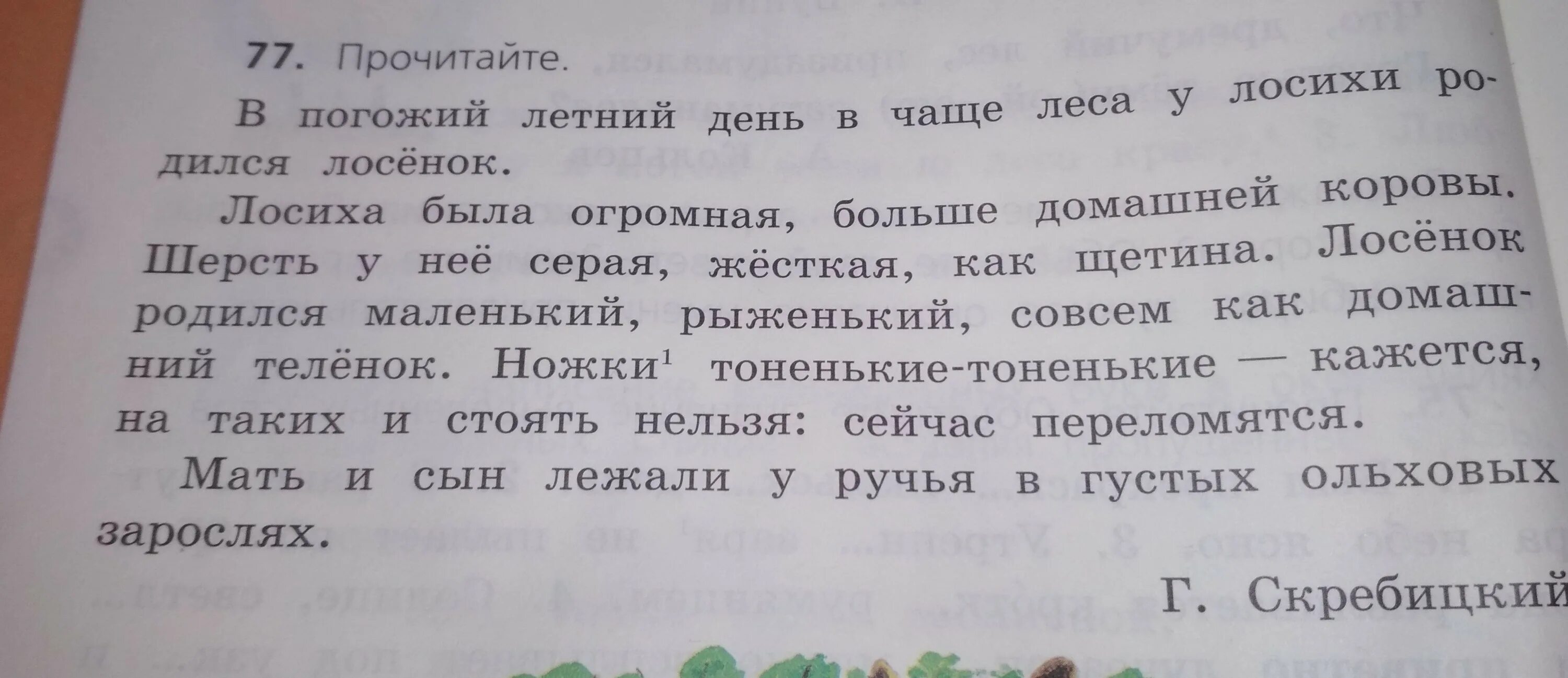 Травка имя прилагательное. Выписать прилагательные из текста. Придумать текст с 5 предложениями с прилагательными. Выпиши только прилагательные. 3 Предложения с именами собственными придумать.