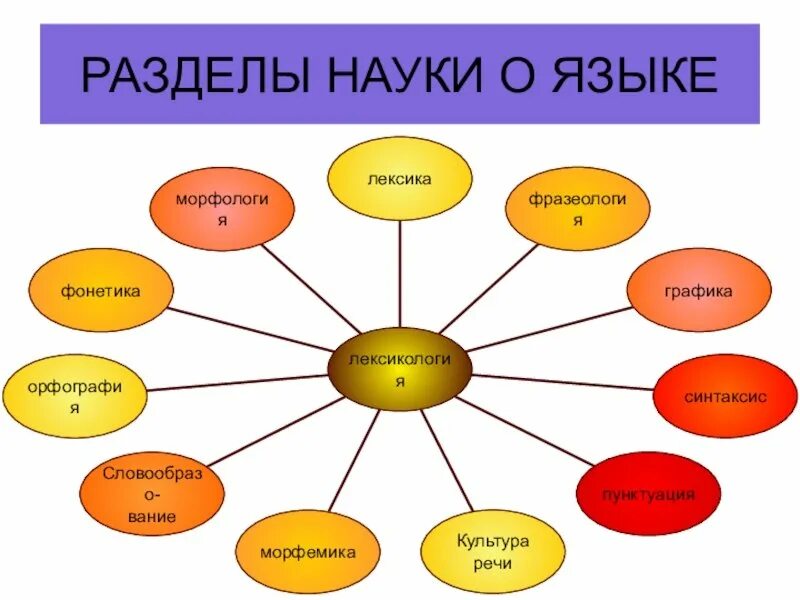 Кластер разделы науки о языке. Зардаллы науки о языка. Разделы науки о русском языке. Разделы лингвистики схема. Цветок лексика