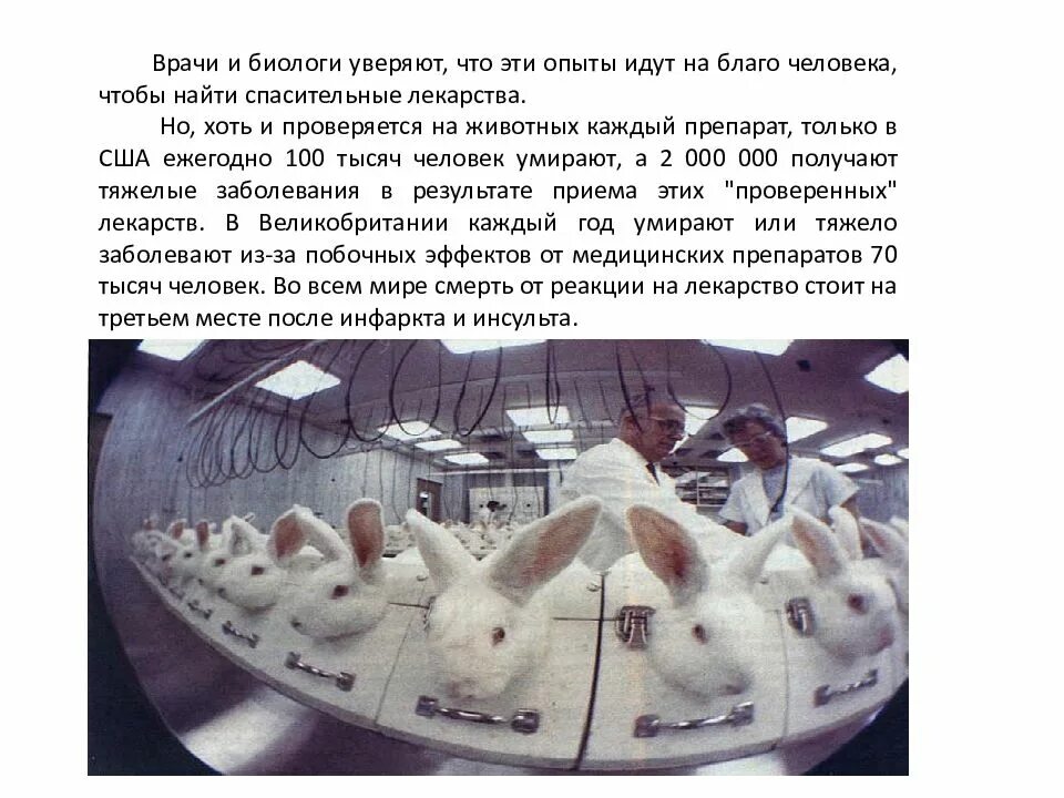 Использование животных в научных исследованиях. Объекты медицинских исследований животные. опыты на животных за и против. альтернативные методы исследования на животных.