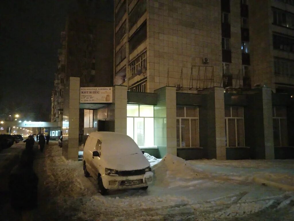 солнечный пес ветклиника воронеж